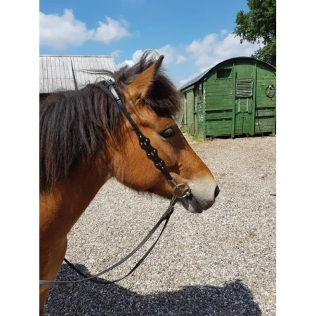 Nordic Horse Kopfstück /Nackenriemen 3 Spitzen mit Löchern u. 8 Steinen