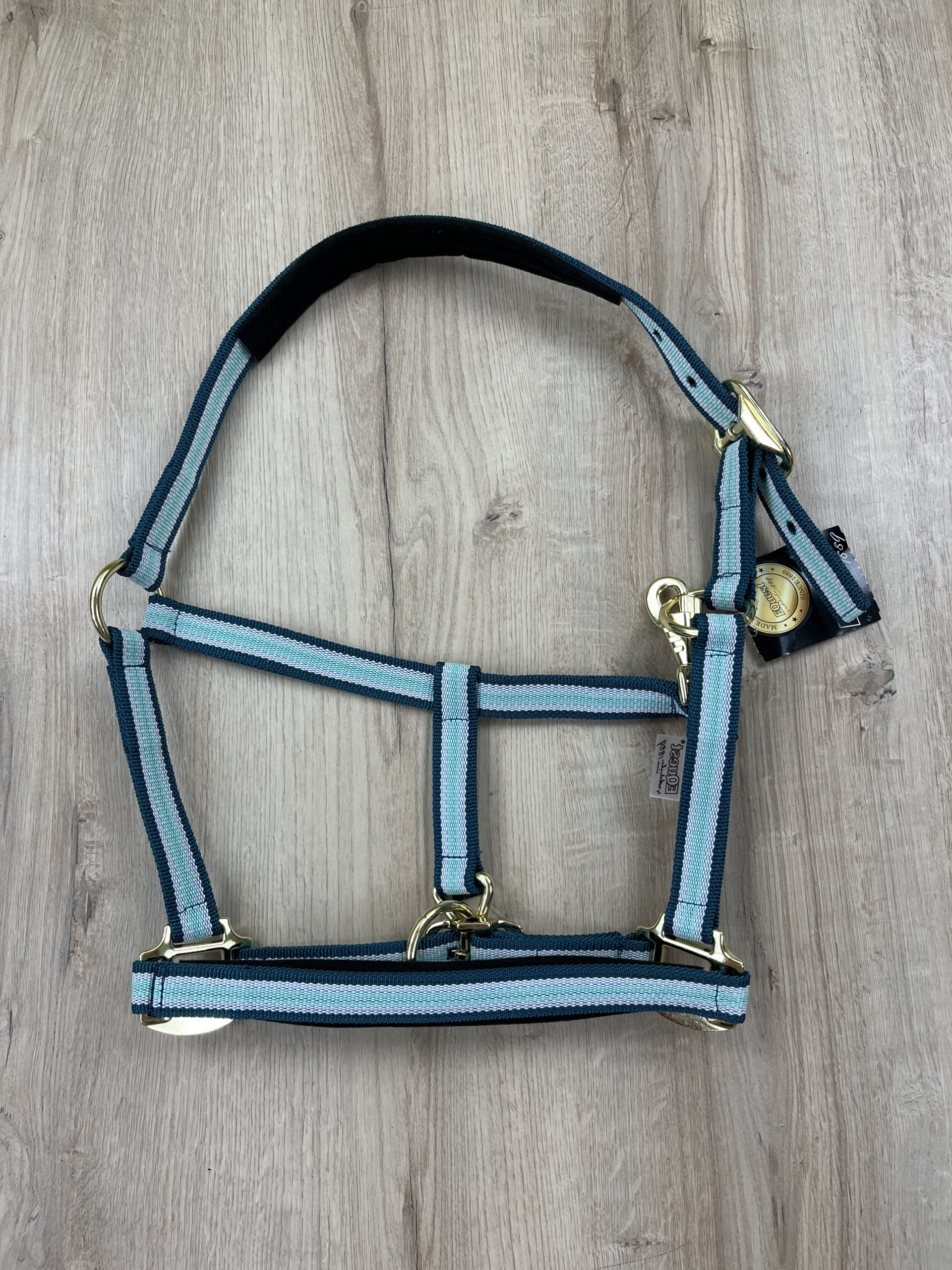 Halfter Equest Dual Plus Island Green, antrazith unterlegt & mit Dornschnalle, messing finish