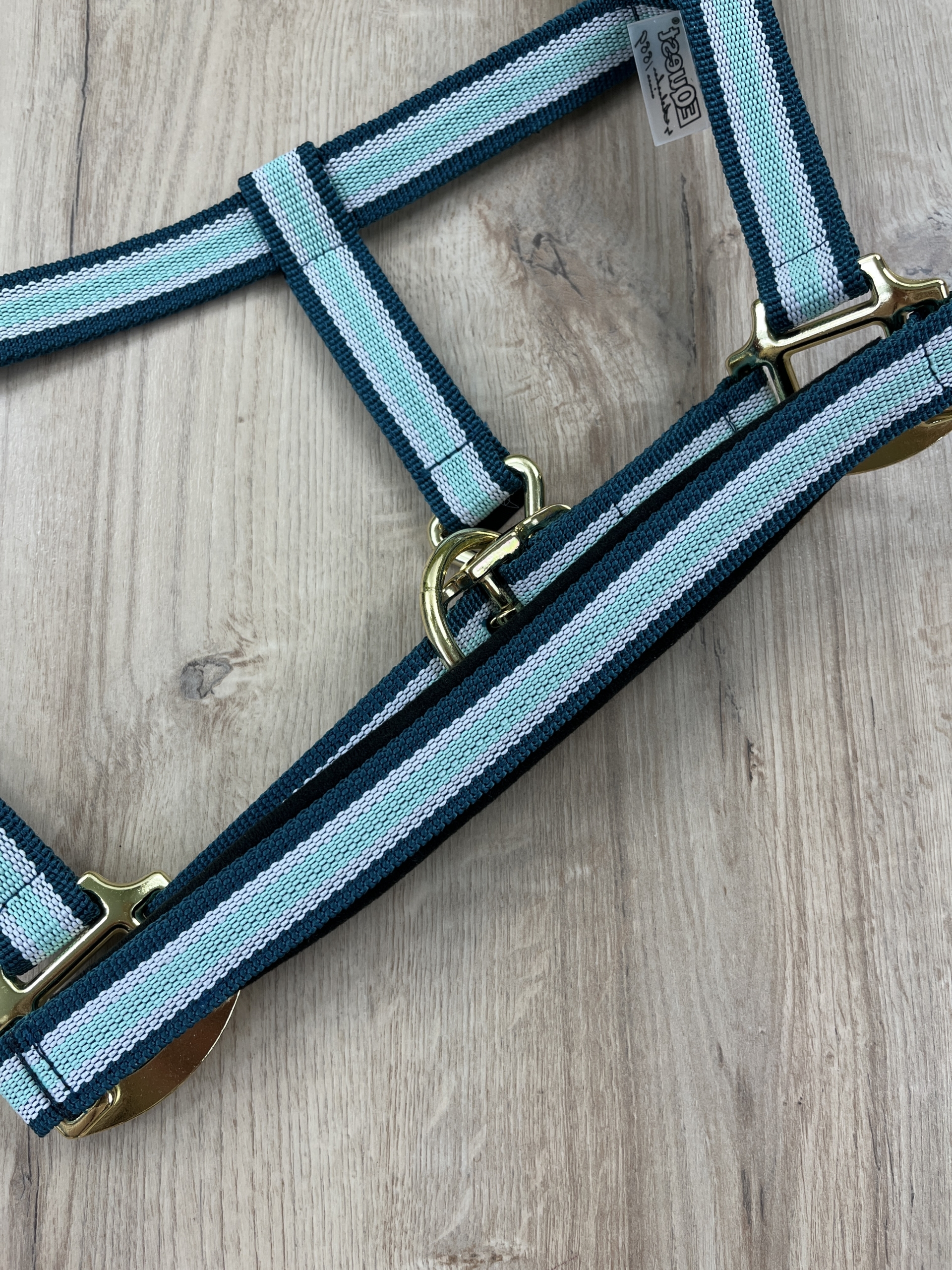 Halfter Equest Dual Plus Island Green, antrazith unterlegt & mit Dornschnalle, messing finish