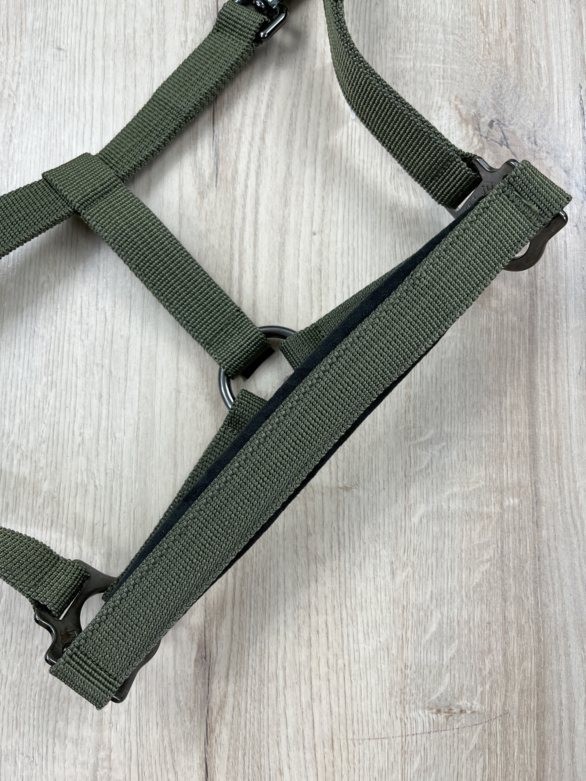 Halfter Equest Regular Plus Olive , antrazith unterlegt & mit Schiebeschnalle