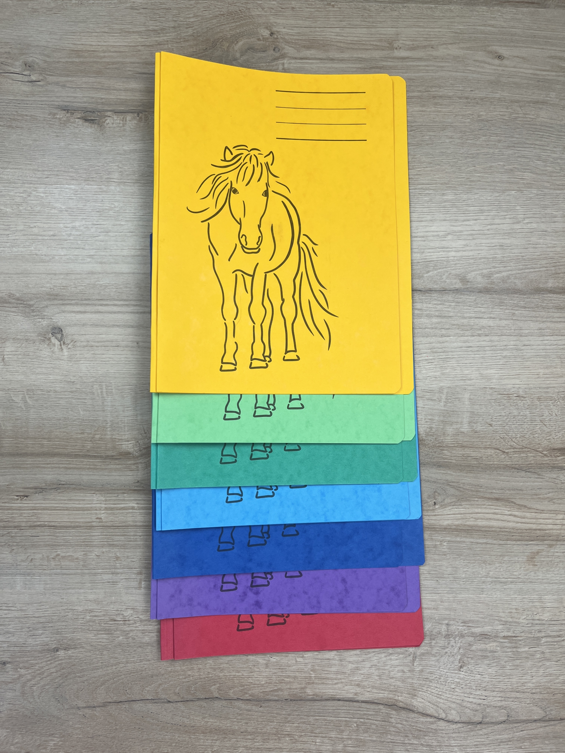 Schnellhefter mit Isi-Aufdruck (versch. Farben – besonders starker Preßspankarton)