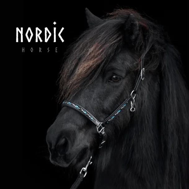 367-gr-leather-halter-turquoise.w610.h610.fill Nordic Horse Lederhalfter Colour Mix Türkis