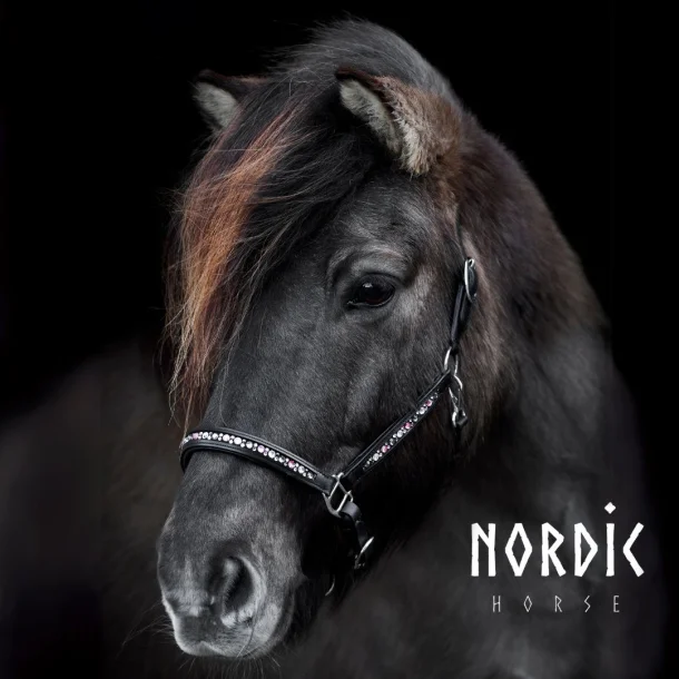 367-gr-p-leatherhalter-pink-color-mix.w610.h610.fill Nordic Horse Lederhalfter Colour Mix Pink
