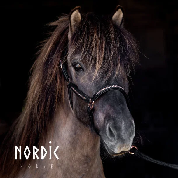 367-gr-rg-All-rosegold-halter.w610.h610.fill Nordic Horse Lederhalfter all Rosegold