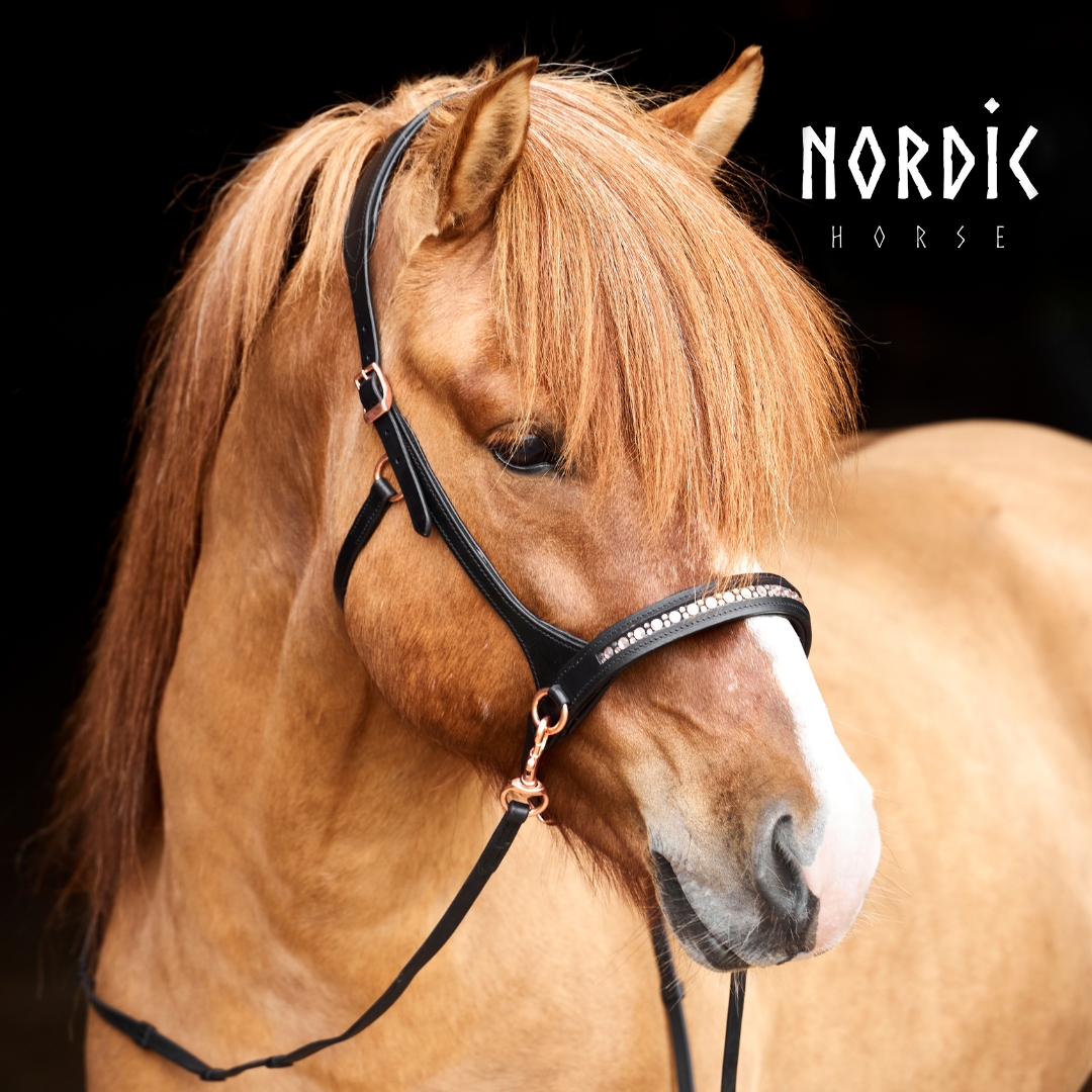 367-rg-1 Nordic Horse Sidepull All Rosegold
