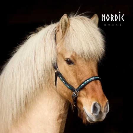 Nordic Horse Lederhalfter Colour Mix Grün