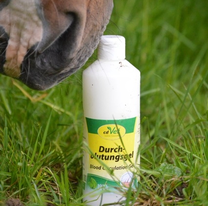 CDVet Durchblutungsgel