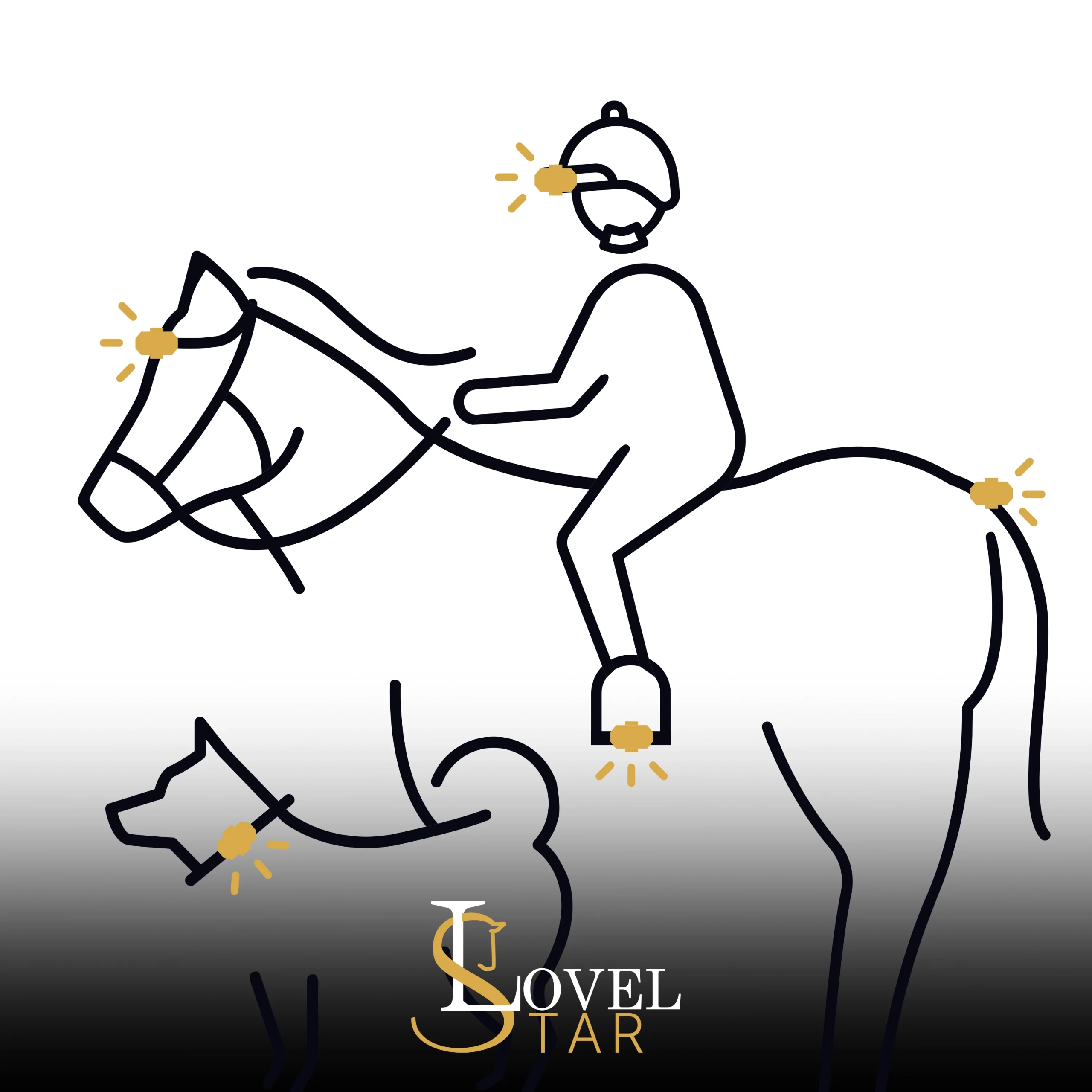 LED Spots Pferd / Reiter