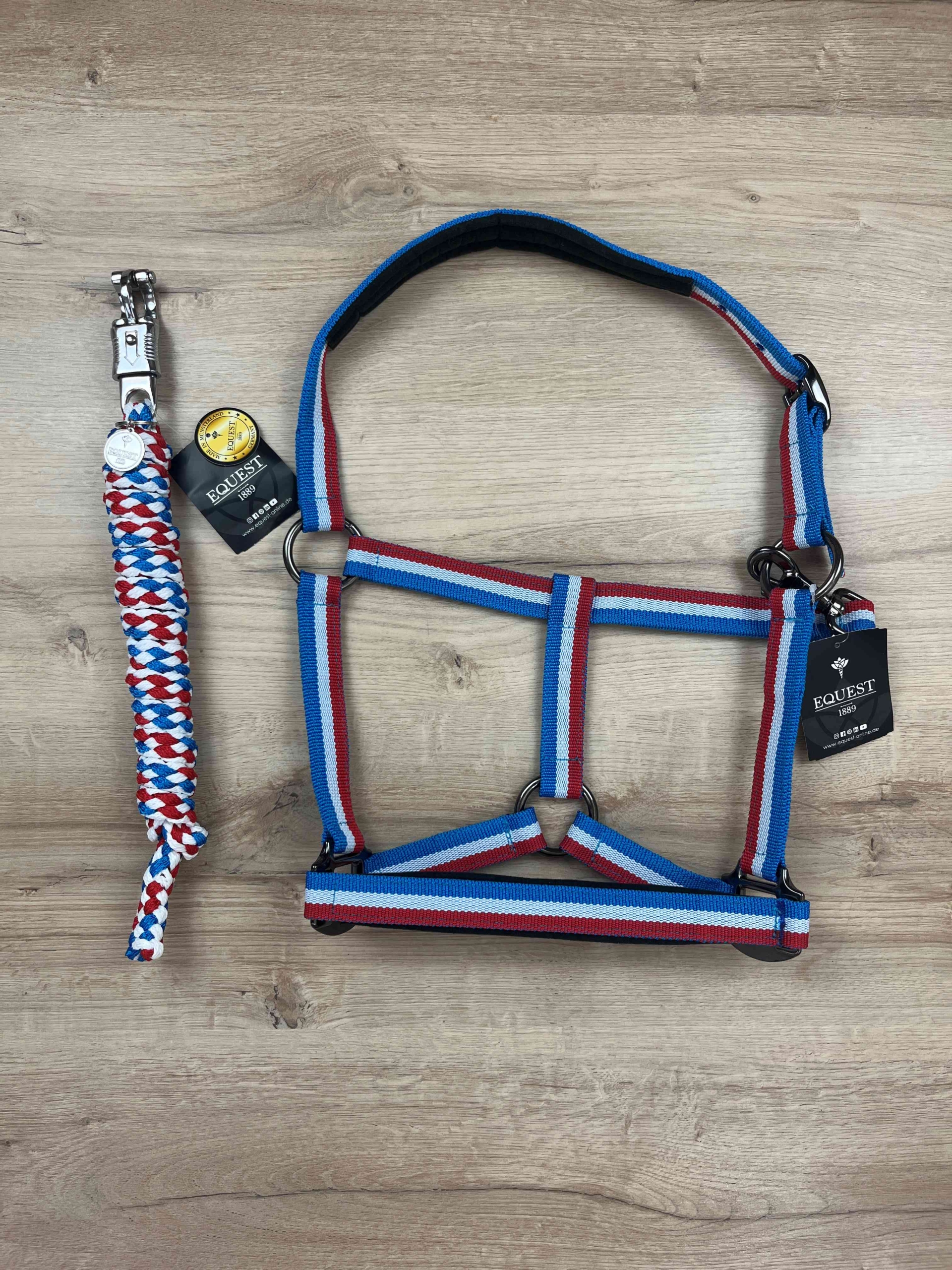 Halfter Equest Uno Plus Island , antrazith unterlegt & mit Dornschnalle black finish mit Führstrick Panikhaken black finish