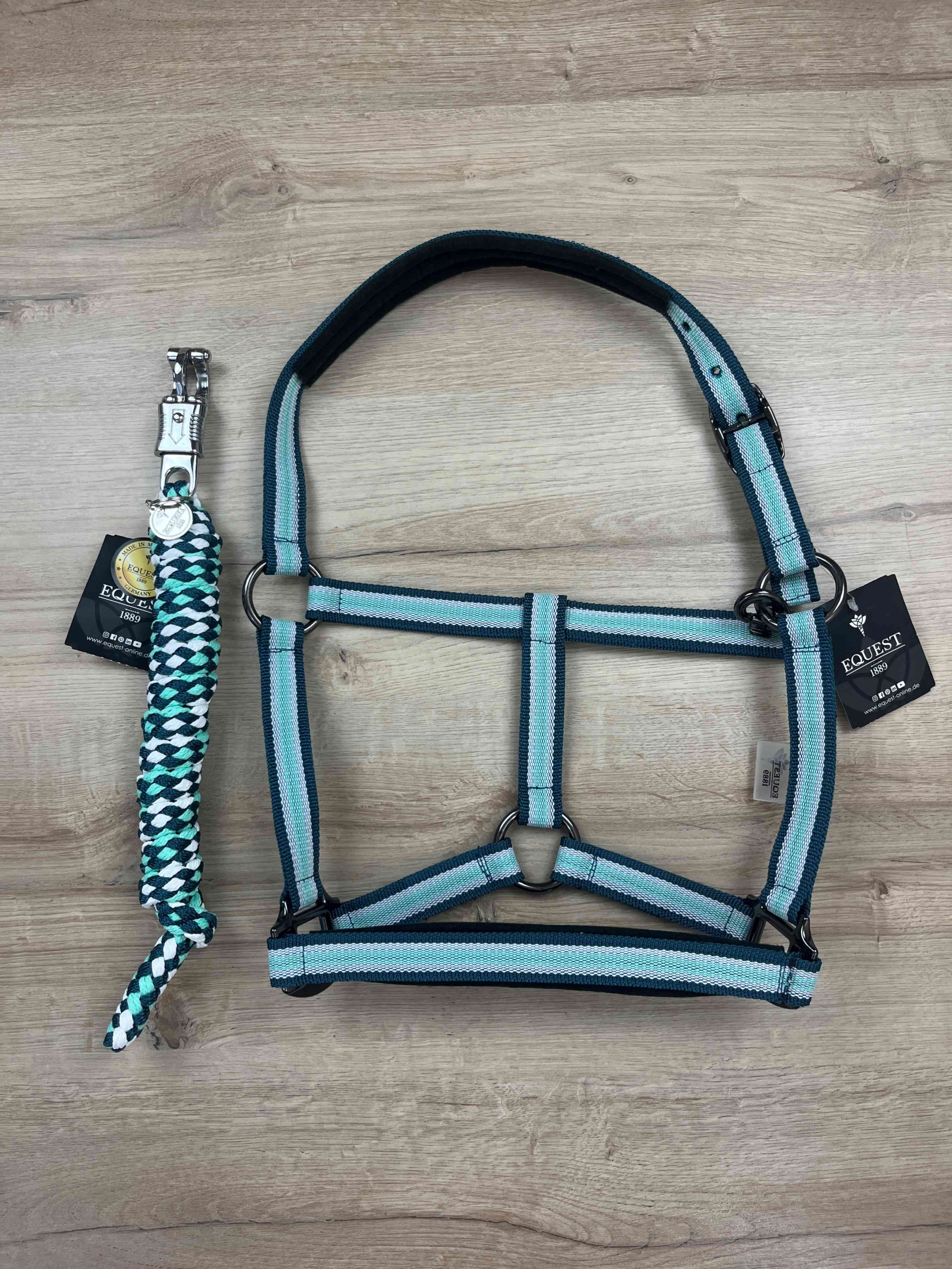 Halfter Equest Uno Plus Island green , antrazith unterlegt & mit Dornschnalle black finish mit Führstrick Panikhaken black finish
