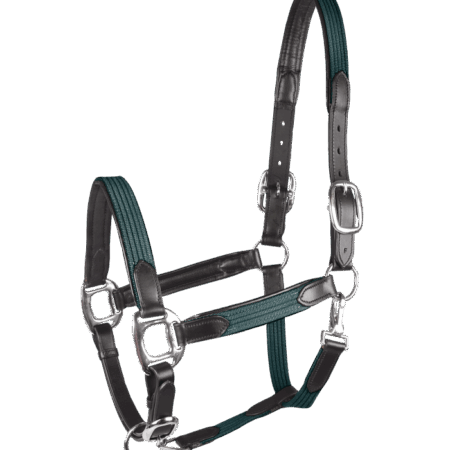 Halfter STAR Mix tannengrün/silber