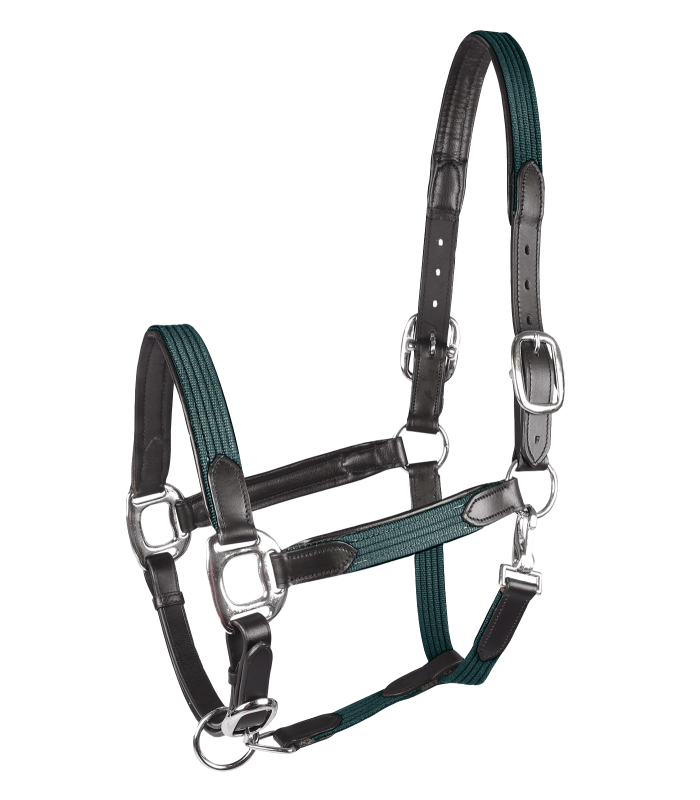 Halfter STAR Mix tannengrün/silber