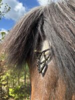 Trense Lukka gold/schwarz hannoversch (Hestagallery)