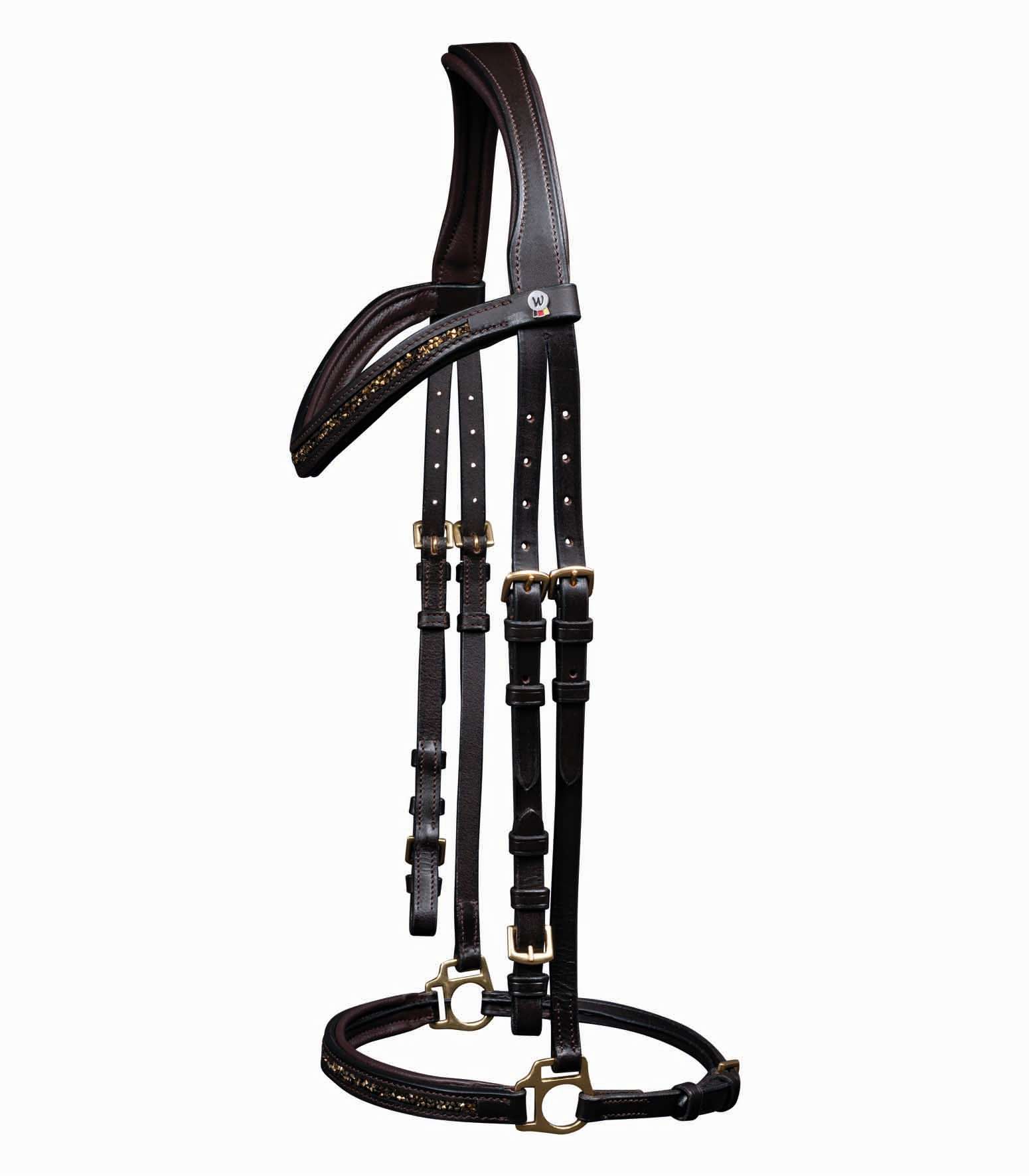 Islandtrense Ice Braun/Gold