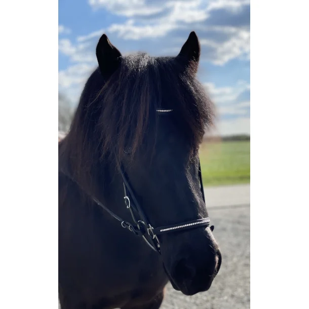 Nordic Horse Trense komplett mit einer Reihe kleiner Steine silber, engl. komb. Reithalfter