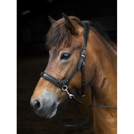 Nordic Horse Sidepull breit mit einzelnen Steinen