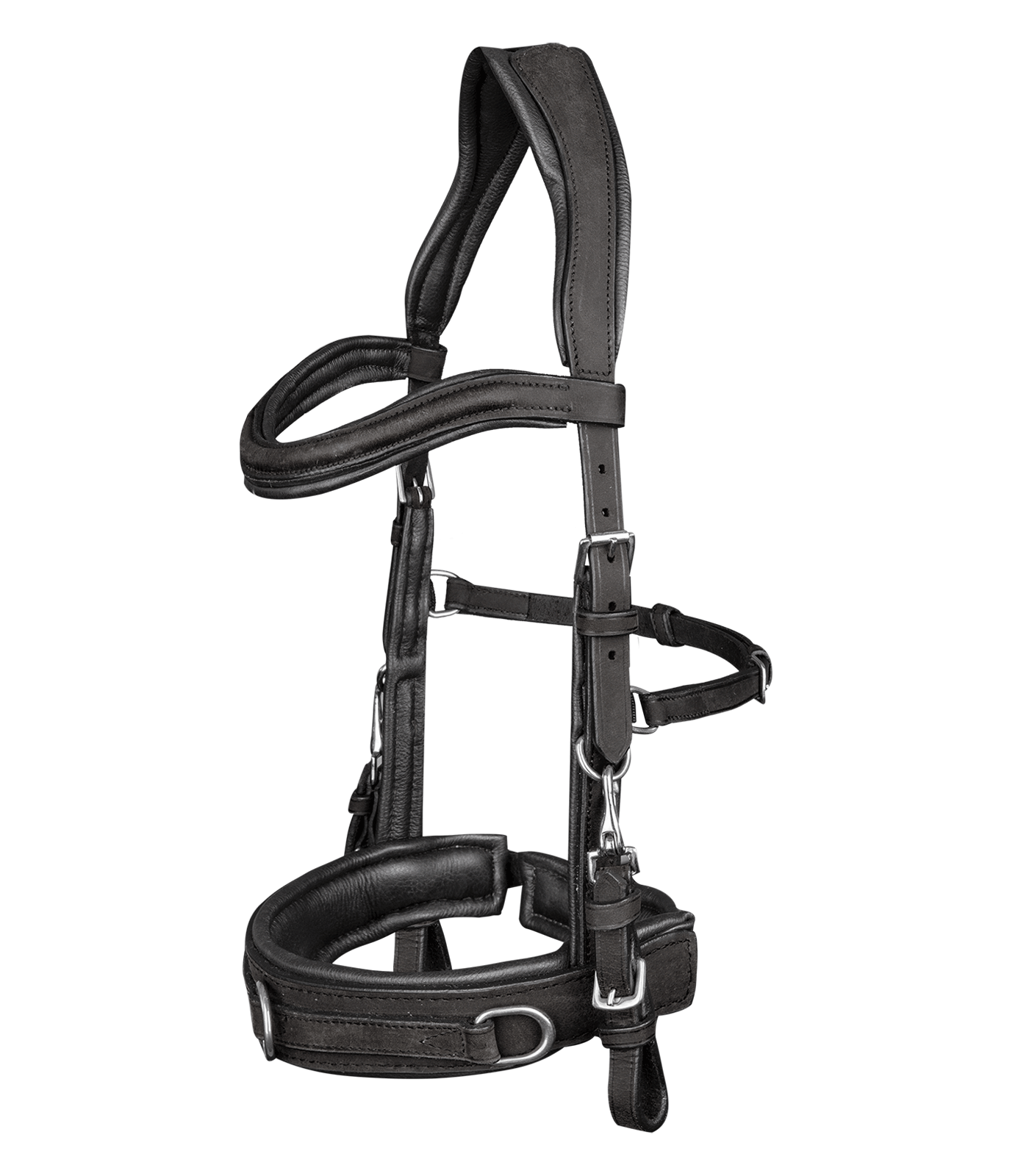 Lederkappzaum anatomic