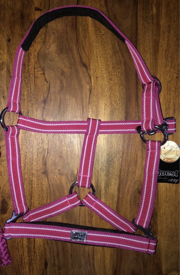 Halfter Equest Regular Plus Tropical Garden pink-weiß-himbeer, unterlegt mit Schiebeschnalle