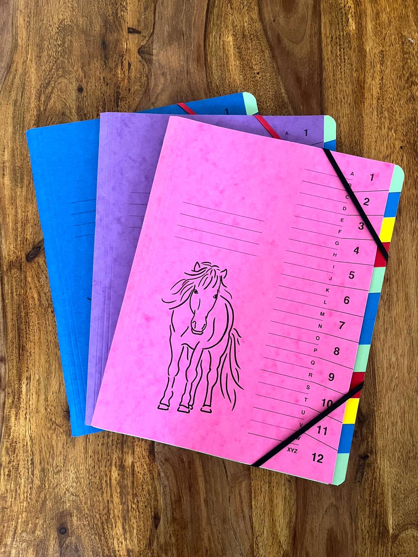 Ordnungsmappe mit Isi-Aufdruck