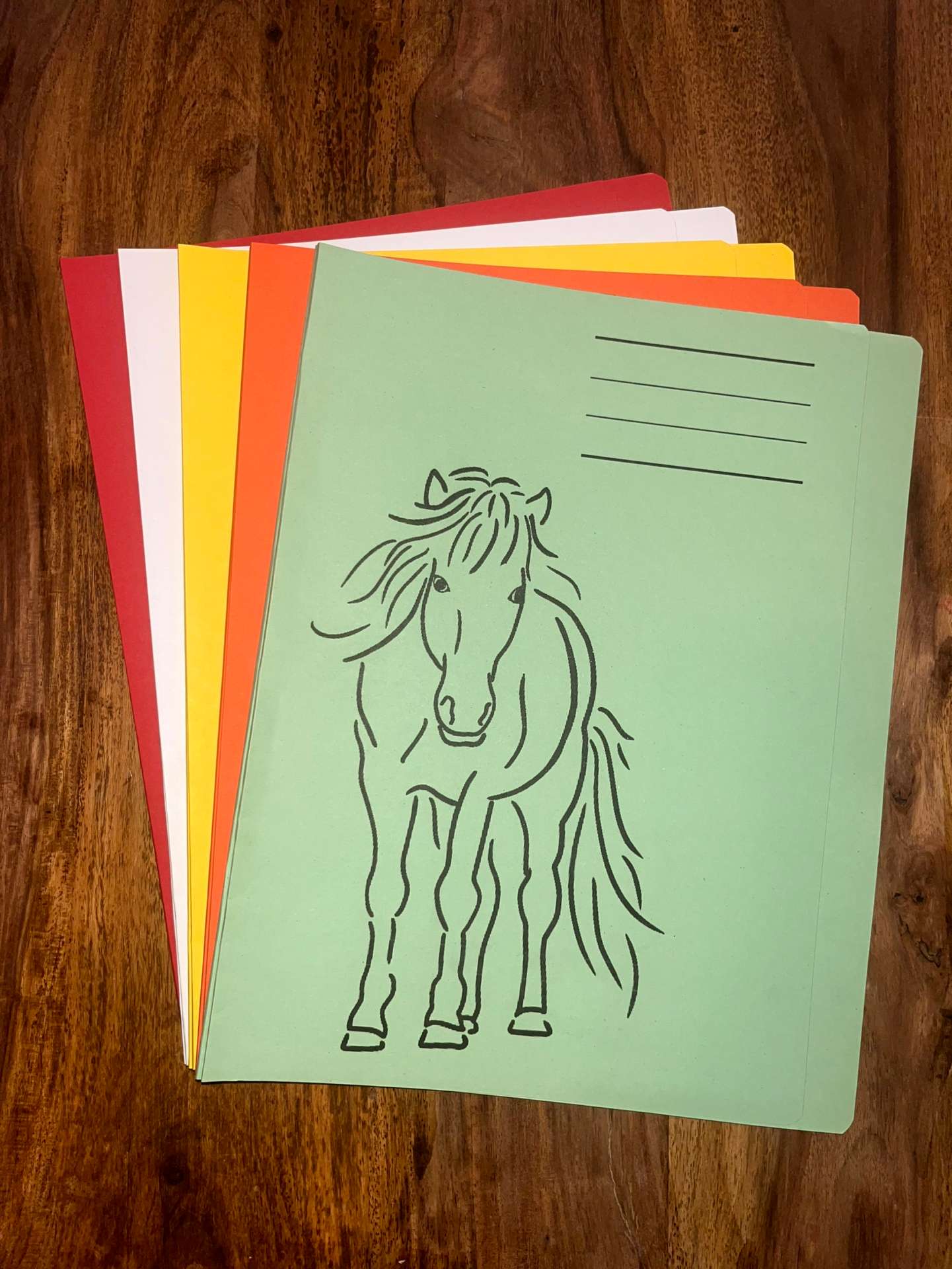 Schnellhefter mit Isi-Aufdruck (versch. Farben)