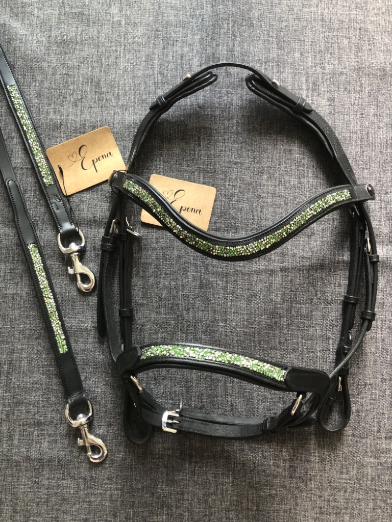 IMG_6147 Lederzügel mit Karabiner, moosgrün