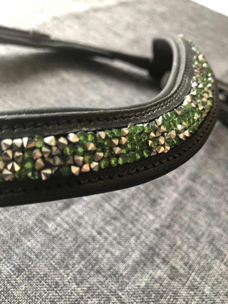 IMG_6149 Islandtrense  Anatomische Trense moosgrün