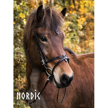 Kopfstück Nordic Horse 15, schwarz