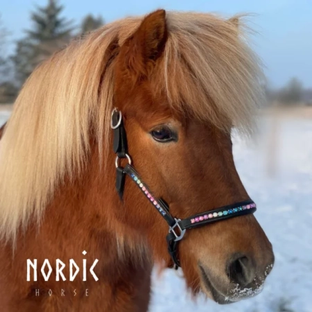 Nordic Horse Lederhalfter Rainbow