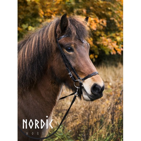 Nordic Horse hann. Reithalfter 15 Schlaufen Nasenstück u. Seitenteile, schwarz 396